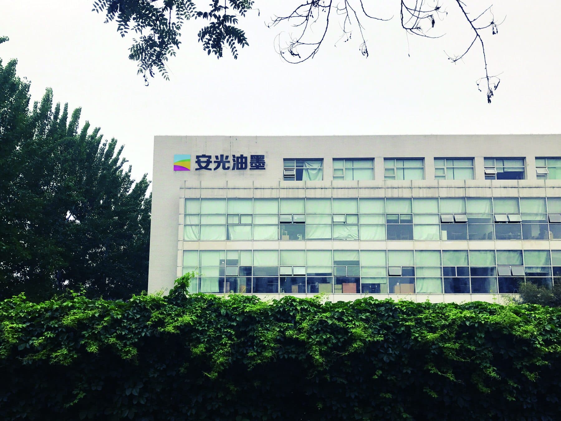 关于安光